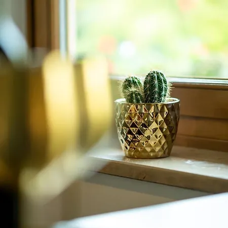 Appartementhaus Arzt زيل أم سي